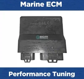 Marine Tuning Suzuki Df50a 09l 50hp | ECM Repair USA