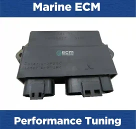 Marine Tuning Yamaha Gx 18l 16v 145kw198hp | ECM Repair USA