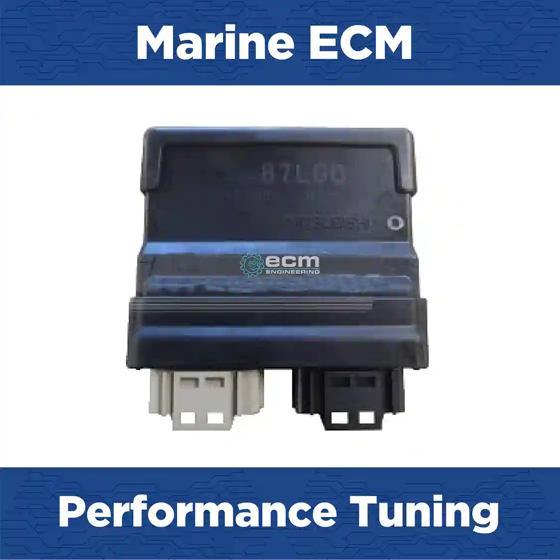 Marine Tuning Yamaha F100 18l 74hp | ECM Repair USA