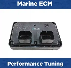 Marine Tuning Yamaha F250 42l V6 247hp | ECM Repair USA