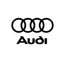 Audi ECU
